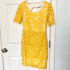 Dandelion yellow scalloped layer dress
